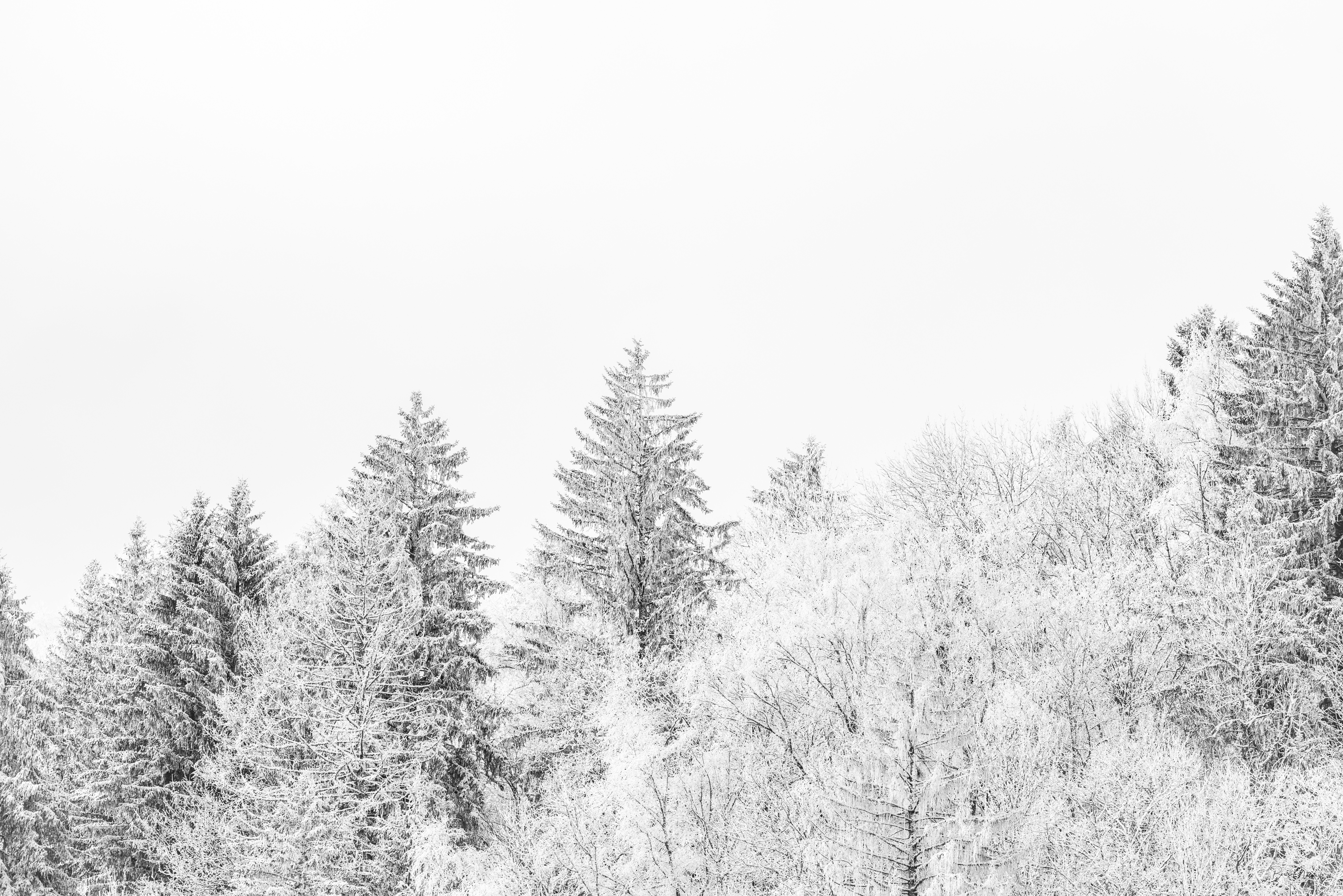 Tirage noir et blanc grand format de montagne dans un intérieur contemporain